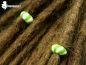 Preview: green candy fimo dreadperlen, dreadschmuck aus fimo, polymer clay dread beads, dreadlocks jewelry from fimo, schmuck aus fimo, fimo perlen, dreadperlen aus fimo selbst machen,dreads, dreadlockperlen,dreadschmuck, dreadbeads, dreadlock jewlery, dread acce